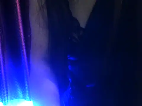 Stripchat cam girl Bold-Richa