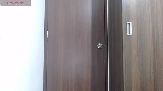 Stripchat cam girl leslie_boobs