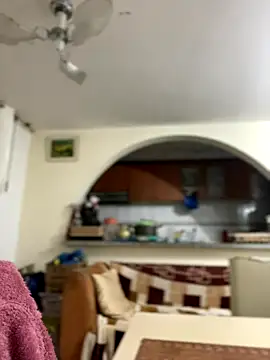 Stripchat cam girl Carola-Ross