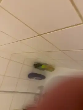 Stripchat cam girl lucpompot