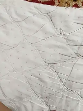 Stripchat cam girl HansDick88