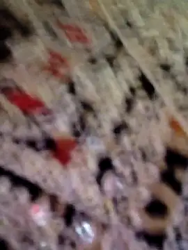 Stripchat cam girl AVNEE_SHARMA