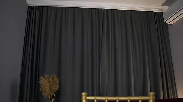 Stripchat cam girl WandaGaillard