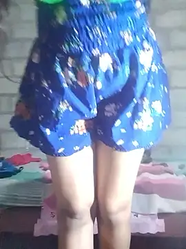 Stripchat cam girl SLNISHU
