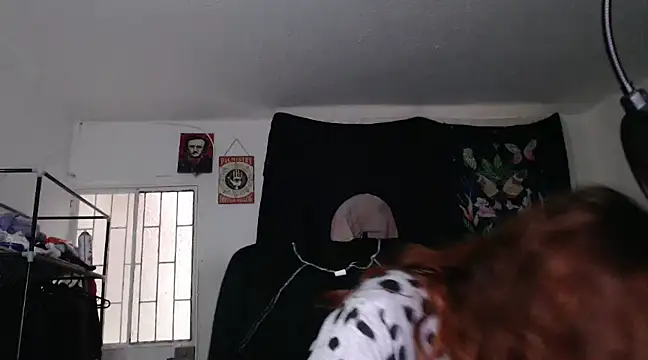 Stripchat cam girl ginnger_0