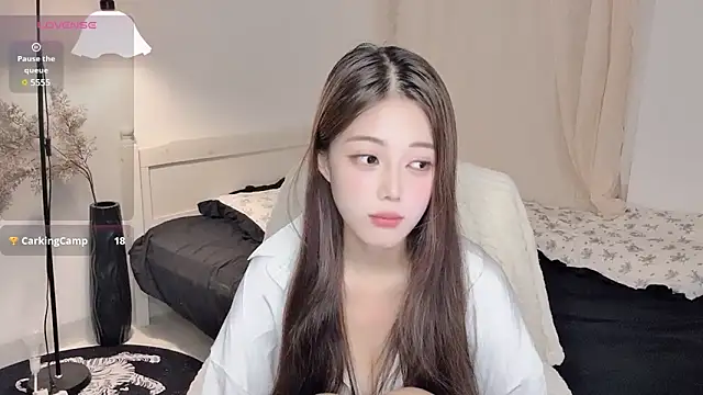 Stripchat cam girl cookie-77